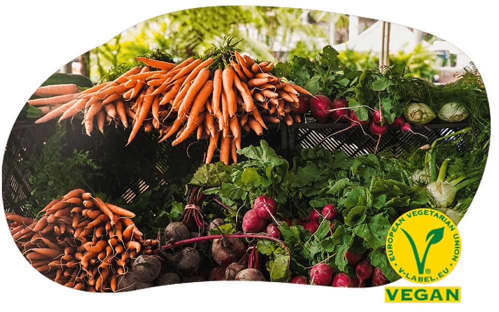 dubistwasduisst_vegan Plantisy Biogemüse Vegan Label